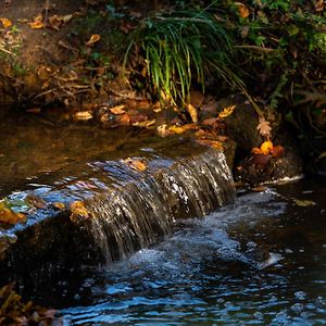 Rivendell Park